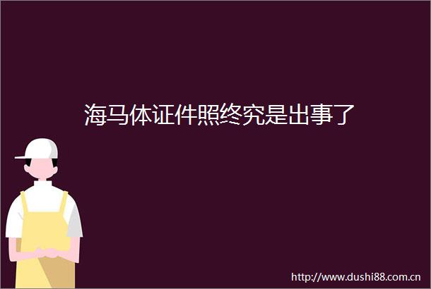 海马体证件照终究是出事了
