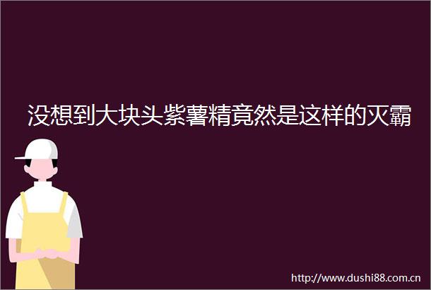 没想到大块头紫薯精竟然是这样的灭霸