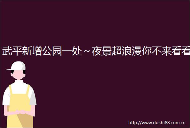 武平新增公园一处～夜景超浪漫你不来看看