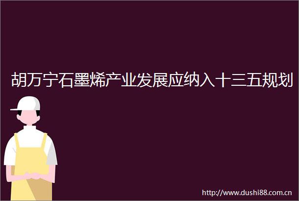 胡万宁石墨烯产业发展应纳入十三五规划