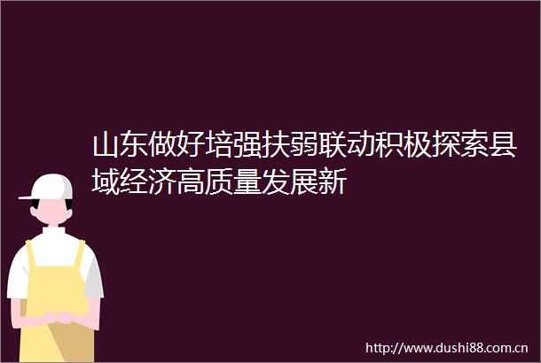 山东做好培强扶弱联动积极探索县域经济高质量发展新