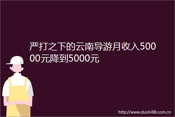 严打之下的云南导游月收入50000元降到5000元