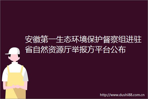 安徽第一生态环境保护督察组进驻省自然资源厅方平台公布