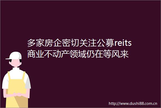 多家房企密切关注公募reits商业不动产领域仍在等风来