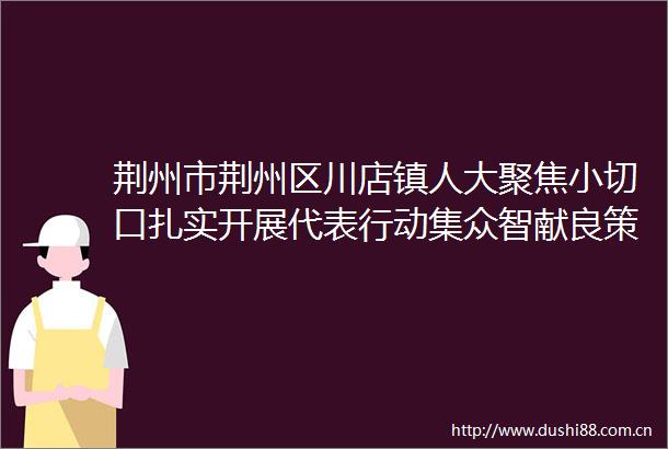 荆州市荆州区川店镇人大聚焦小切口扎实开展代表行动集众智献良策