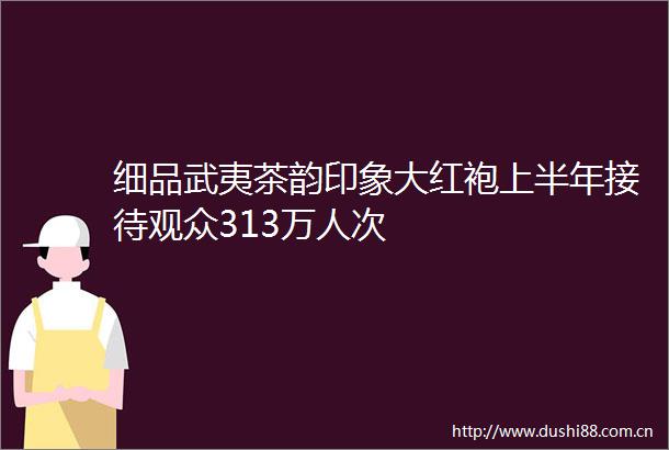 细品武夷茶韵印象大红袍上半年接待观众313万人次