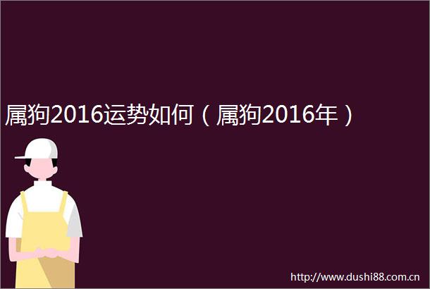 属狗2016运势如何（属狗2016年）