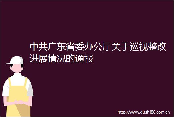 广东省委办公厅关于巡视整改进展情况的通报