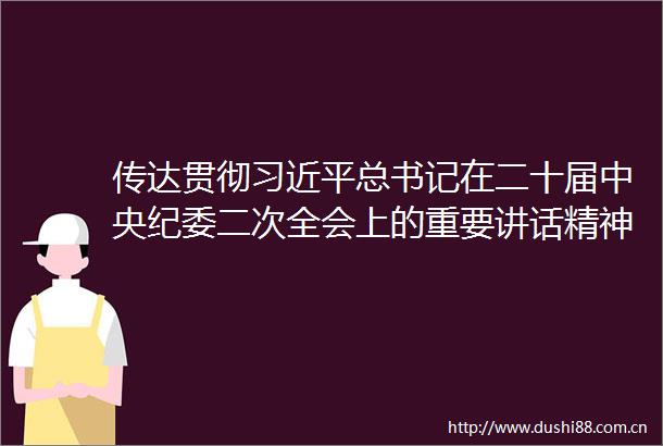 传达贯彻总书记在二十届中央纪委二次全会上的重要讲话精神和对政法工作的重要指示精神