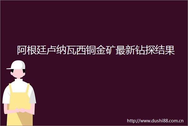 阿根廷卢纳瓦西铜金矿最新钻探结果