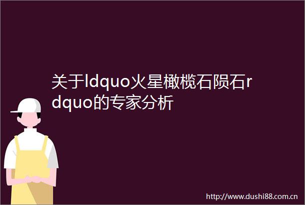 关于ldquo火星橄榄石陨石rdquo的专家分析
