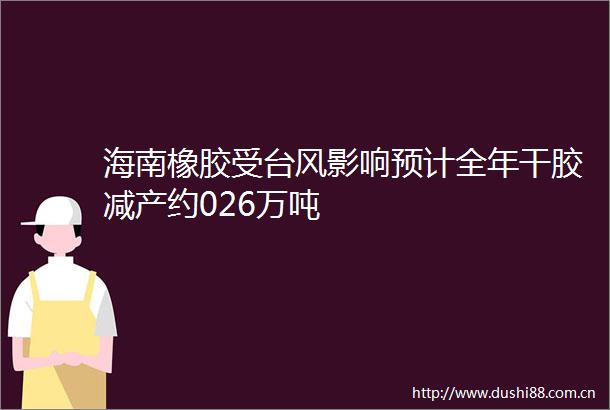 海南橡胶受台风影响预计全年干胶减产约026万吨