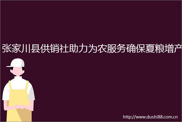 张家川县供销社助力为农服务确保夏粮增产