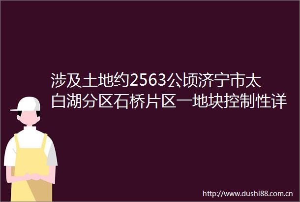 涉及土地约2563公顷济宁市太白湖分区石桥片区一地块控制性详细规划（草案）公示