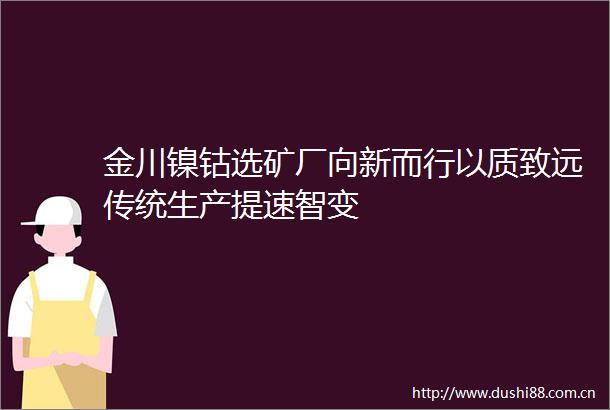 金川镍钴选矿厂向新而行以质致远传统生产提速智变