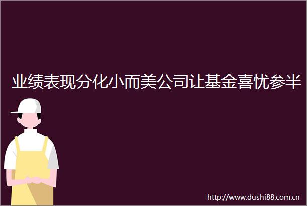 业绩表现分化小而美公司让基金喜忧参半