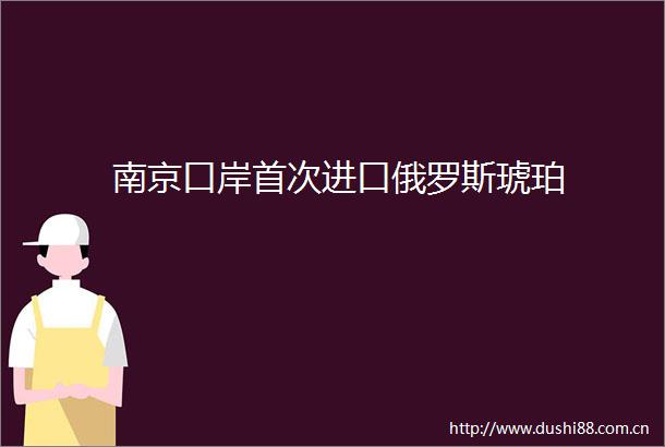 南京口岸首次进口俄罗斯琥珀