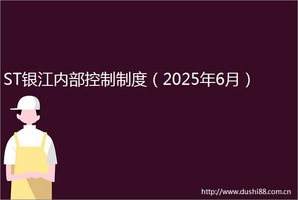 ST银江内部控制制度（2025年6月）