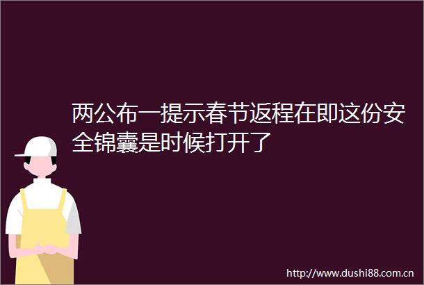 两公布一提示春节返程在即这份安全锦囊是时候打开了
