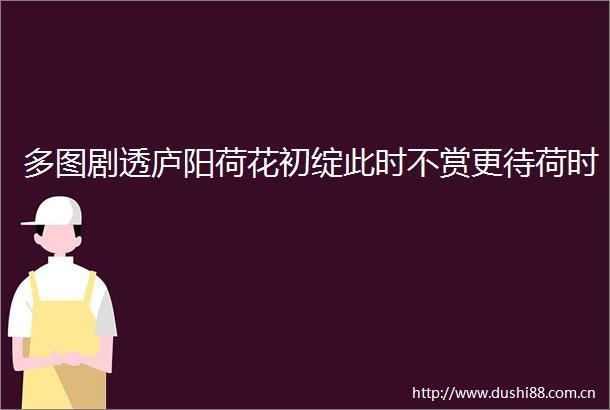 多图剧透庐阳荷花初绽此时不赏更待荷时