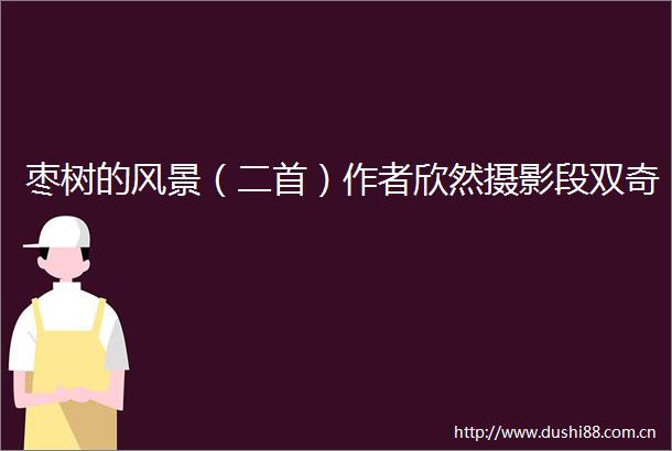 枣树的风景（二首）作者欣然摄影段双奇