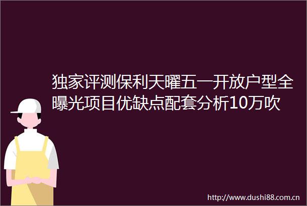 独家评测保利天曜五一开放户型全项目优缺点配套分析10万吹风价值不值得买