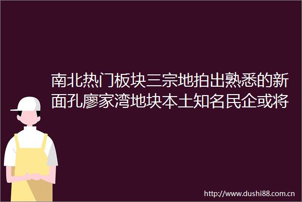 南北热门板块三宗地拍出熟悉的新面孔廖家湾地块本土知名民企或将代建