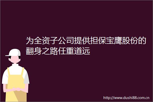 为全资子公司提供担保宝鹰股份的翻身之路任重道远