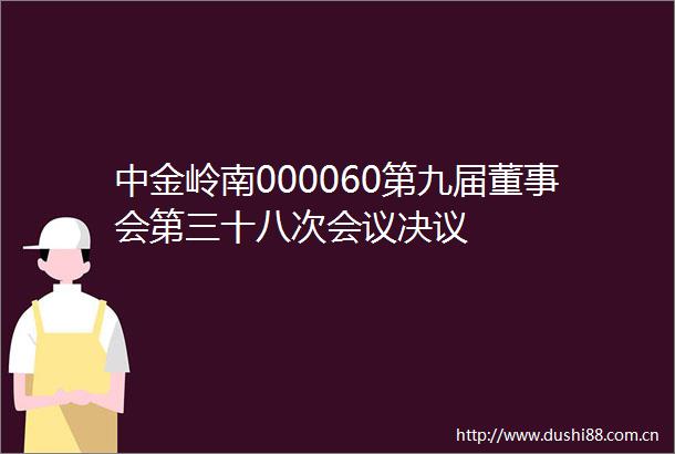 中金岭南000060第九届董事会第三十八次会议决议
