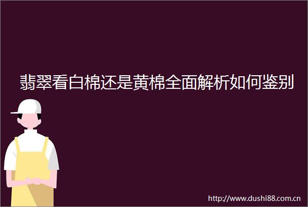 翡翠看白棉还是黄棉全面解析如何鉴别