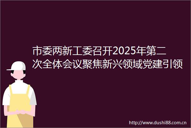 市委两新工委召开2025年第二次全体会议聚焦新兴领域党建引领高质量发展