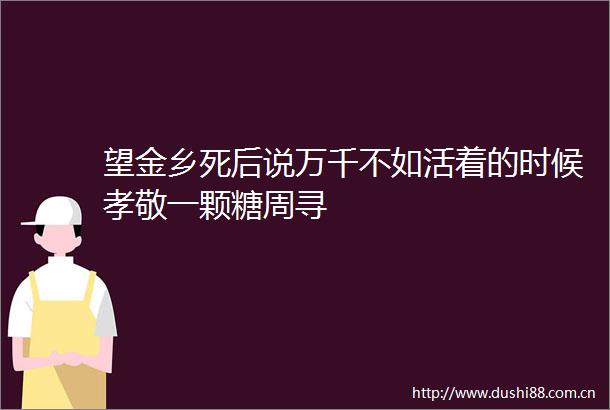 望金乡死后说万千不如活着的时候孝敬一颗糖周寻