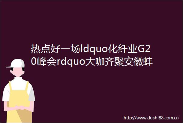 热点好一场ldquo化纤业G20峰会rdquo大咖齐聚安徽蚌埠热议行业大势