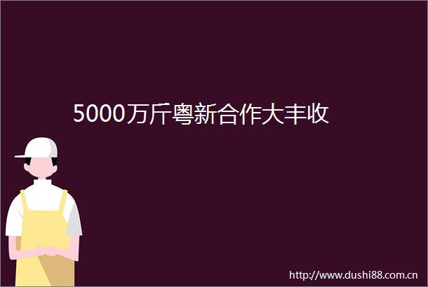 5000万斤粤新合作大丰收