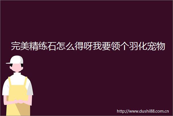 完美精练石怎么得呀我要领个羽化宠物