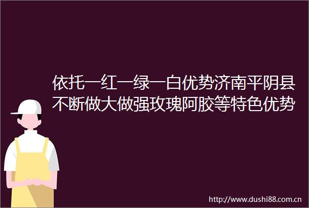 依托一红一绿一白优势济南平阴县不断做大做强玫瑰阿胶等特色优势产业
