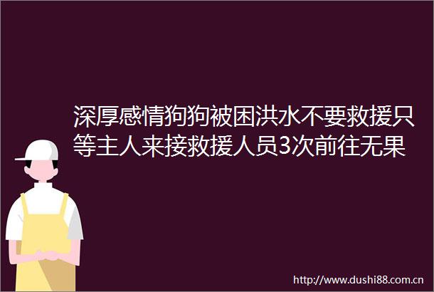 深厚感情狗狗被困洪水不要救援只等主人来接救援人员3次前往无果网友忠犬八公照进现实