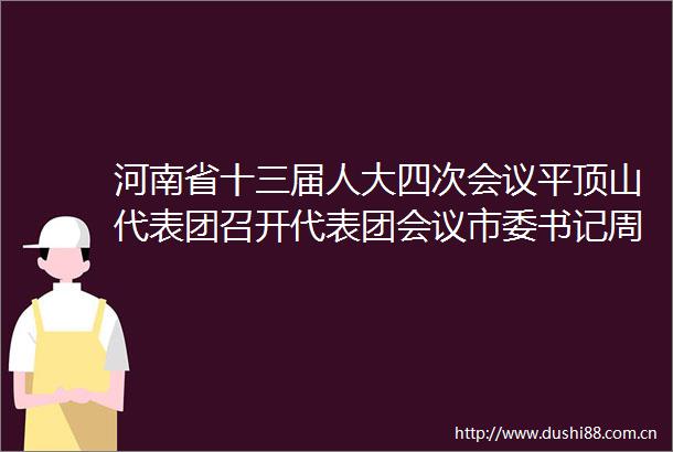 河南省十三届人大四次会议平顶山代表团召开代表团会议市委书记周斌市长张雷明参加审议