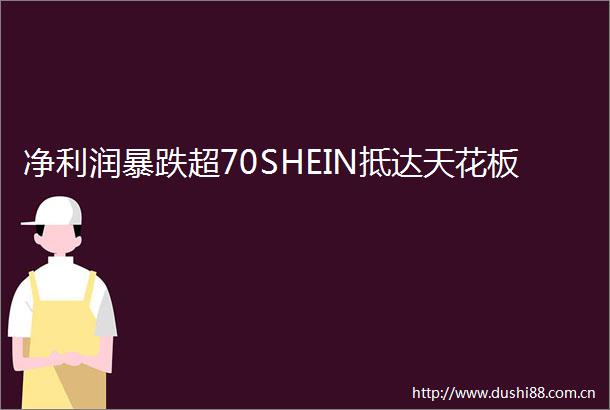 净利润暴跌超70SHEIN抵达天花板