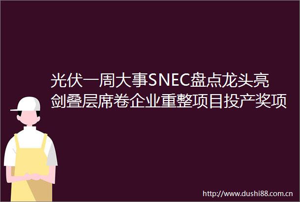 光伏一周大事SNEC盘点龙头亮剑叠层席卷企业重整项目投产奖项出炉