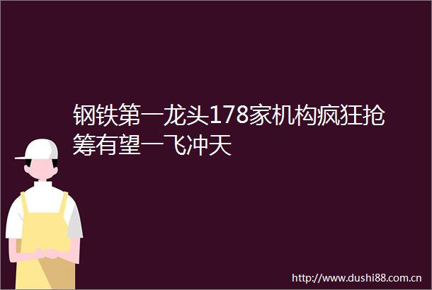 钢铁第一龙头178家机构疯狂抢筹有望一飞冲天