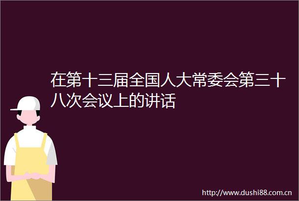 在第十三届全国人大常委会第三十八次会议上的讲话