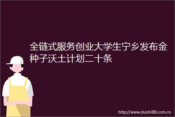全链式服务创业大学生宁乡发布金种子沃土计划二十条
