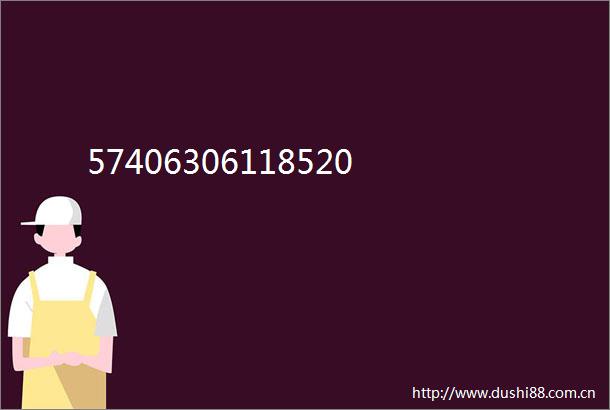 57406306118520