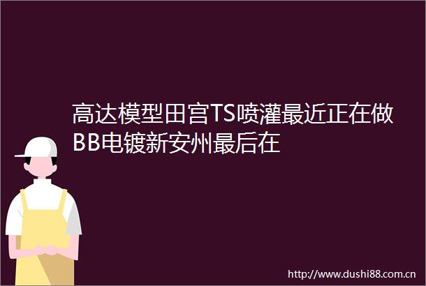 高达模型田宫TS喷灌最近正在做BB电镀新安州最后在