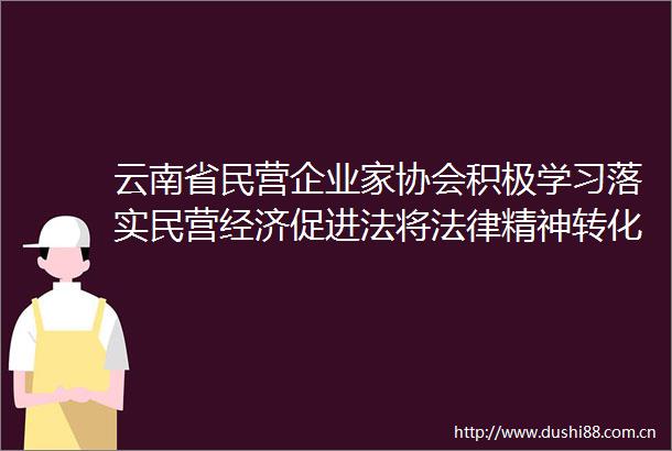云南省民营企业家协会积极学习落实民营经济促进法将精神转化为具体实践