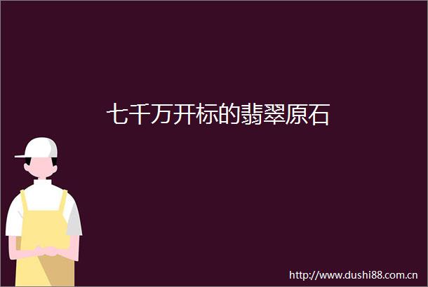 七千万开标的翡翠原石