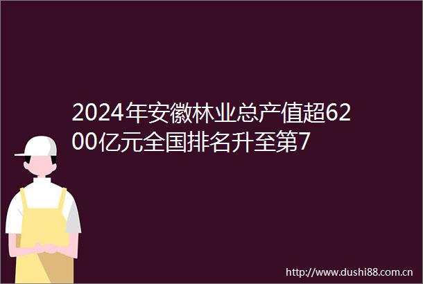 2024年安徽林业总产值超6200亿元全国排名升至第7