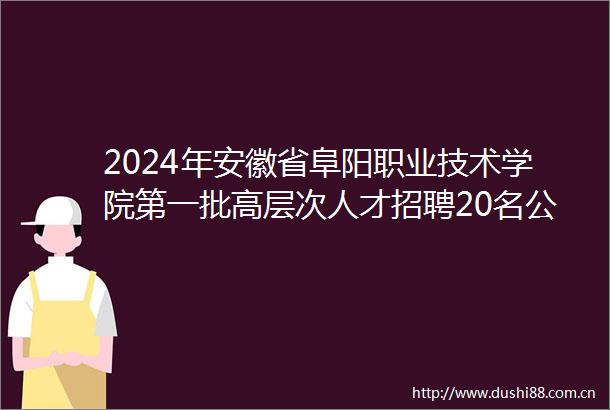 2024年安徽省阜阳职业技术学院第一批高层次人才招聘20名公告