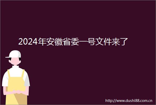 2024年安徽省委一号文件来了